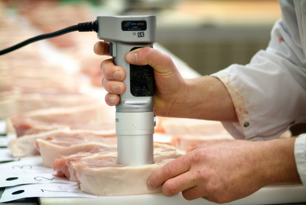 Рабочая группа Topigs Norsvin по качеству мяса: связующее звено между генетикой и мясопереработкой
