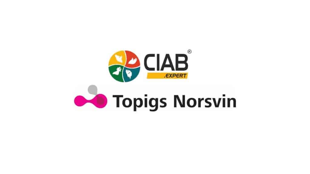 CIAB – дистрибьютор генетики Topigs Norsvin в Украине