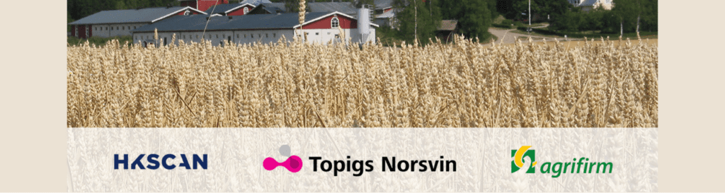 HKScan, Topigs Norsvin и Royal Agrifirm Group: совместный запуск серии испытаний на ферме в Финляндии